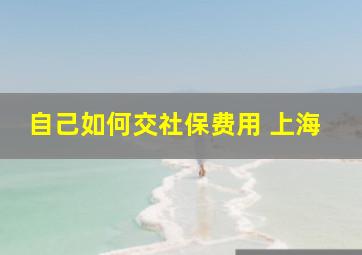 自己如何交社保费用 上海